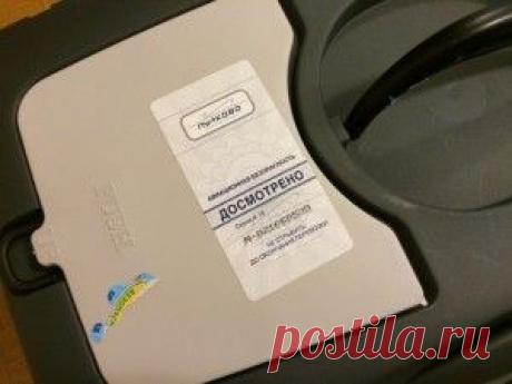 Перевозка животных в самолете — Все о туризме и отдыхе