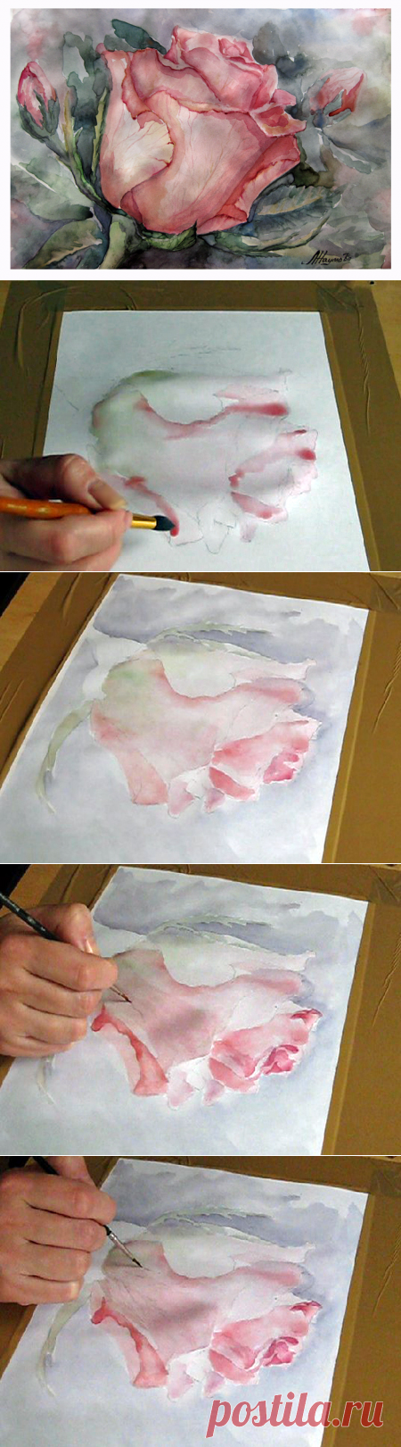 Урок рисования акварелью - как нарисовать розу поэтапно.