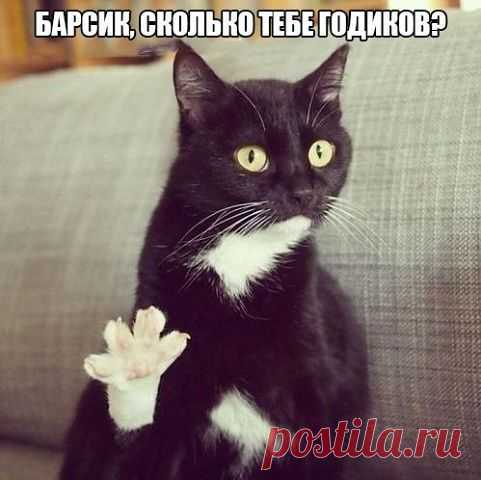♥♥Житейская мудрость ♥♥
