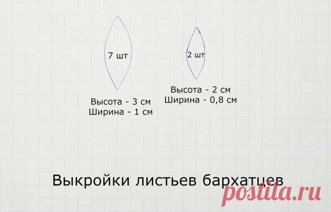 Выкройки листьев бархатцев.jpg — Яндекс.Диск