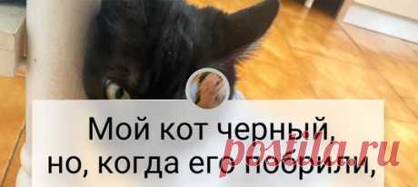 20+ творений природы, от которых мурашки по коже устроят марш-бросок