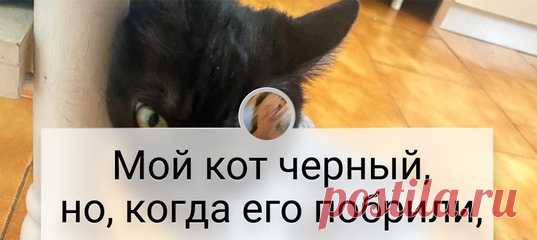20+ творений природы, от которых мурашки по коже устроят марш-бросок