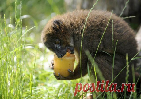 Мой Мир@Mail.Ru