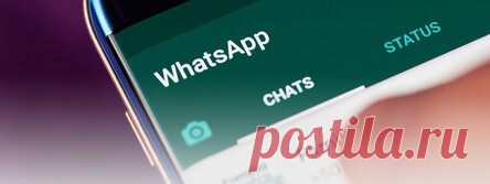 Эксперты призывают не пользоваться WhatsApp: что не так?