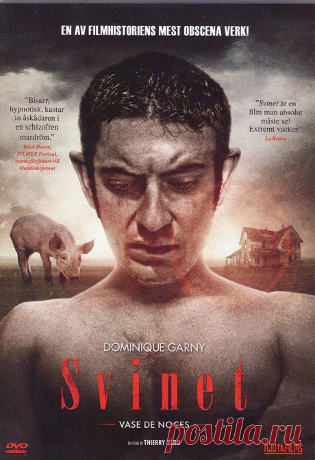 Шокирующие фильмы, которые сложно досмотреть до конца.(3 часть) | Киномнение | Дзен