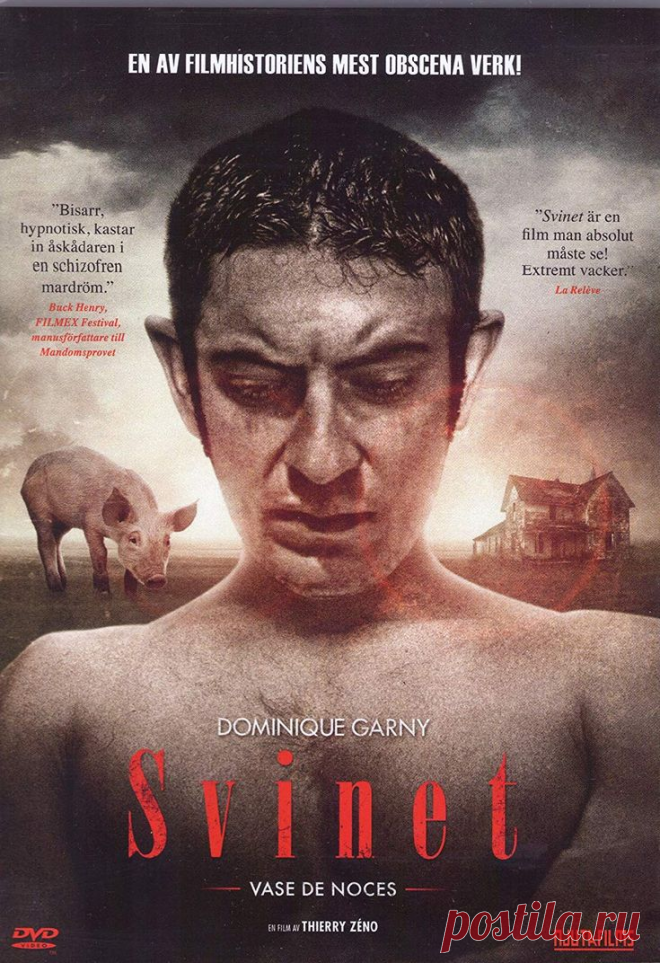 Шокирующие фильмы, которые сложно досмотреть до конца.(3 часть) | Киномнение | Дзен