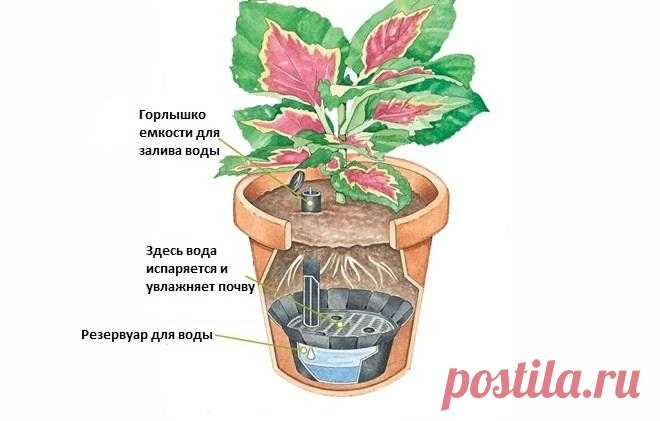 9 свежих инструментов для вашего сада