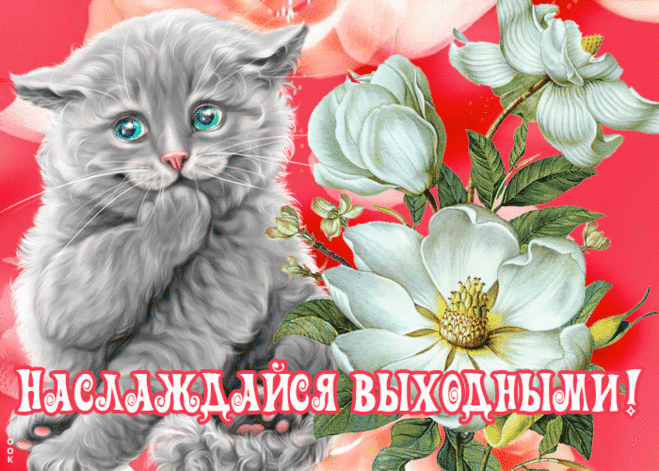 Встречай выходные с улыбкой, встречай в отличном настроении и с блеском в глазах. с выходными открытка