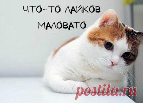ВОТ СМОТРЮ...