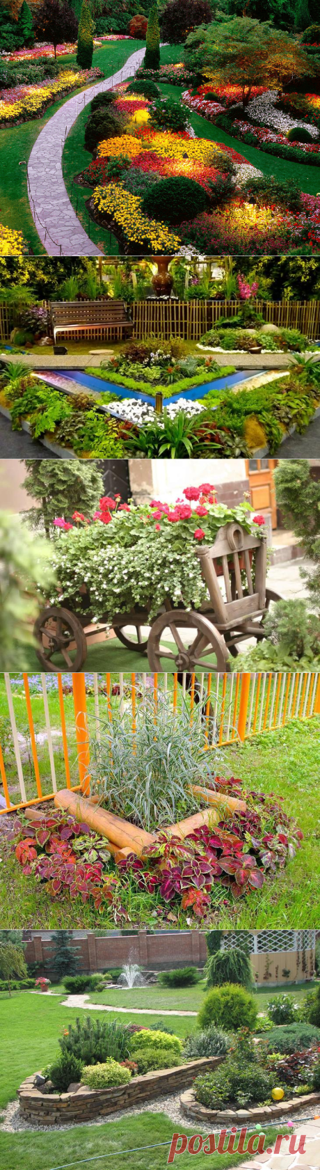 Дачные клумбы. Фотографии красивых клумб
