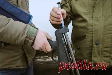 В российском селе после гибели девочки начали отстрел собак. Жители села Домна Забайкальского края начали самостоятельно отстреливать бродячих собак после гибели семилетней девочки. О том, что животные загрызли ребенка, стало известно днем ранее, 22 января. На месте случившегося появился стихийный мемориал. Люди весь день несут к нему цветы и мягкие игрушки.