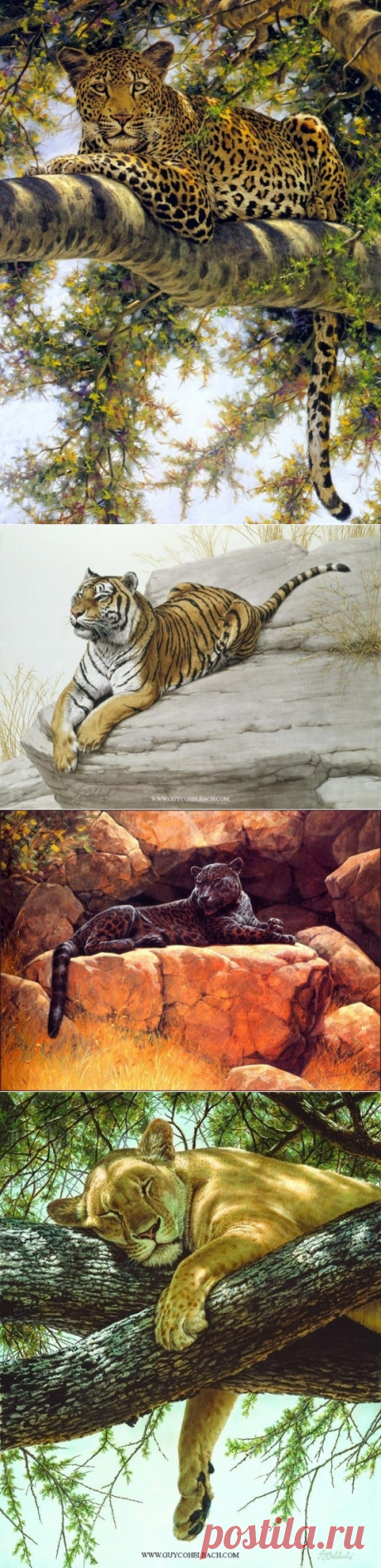 Художник Guy Coheleach - дикие кошки