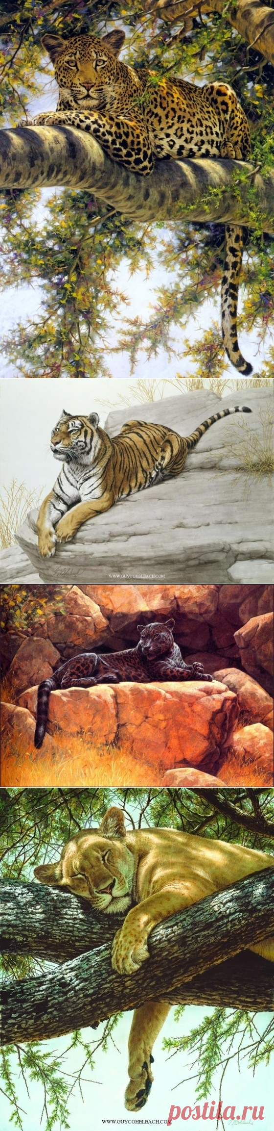 Художник Guy Coheleach - дикие кошки
