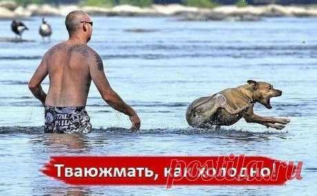 ❤❤...ОПТИМИСТ...❤❤
Марсианка О