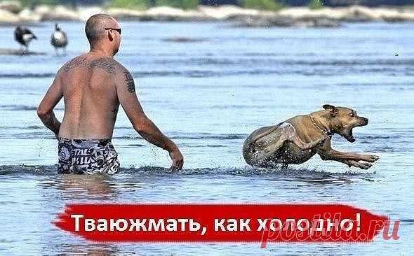 ❤❤...ОПТИМИСТ...❤❤
Марсианка О