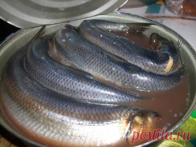 Как быстро почистить селедку — Дело Вкуса