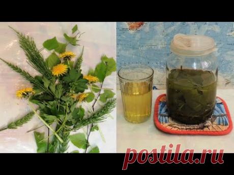 Одуванчик 🌻 для печени, почек и поджелудочной. Очищение после зимы самыми простыми травами с мёдом.