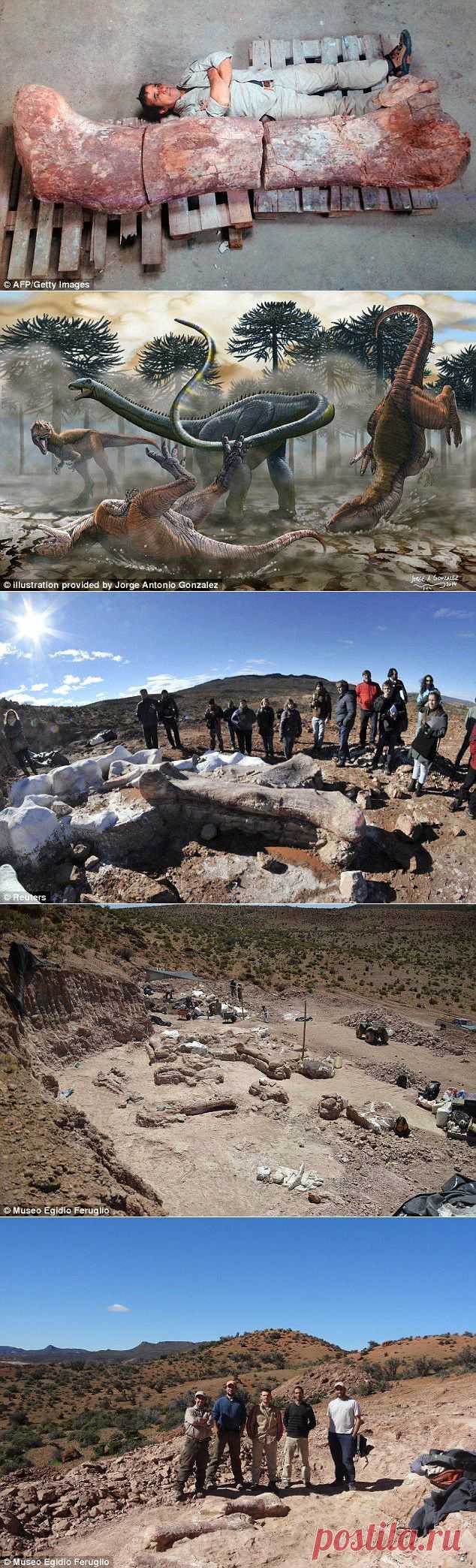 Ученые обнаружили кости самого крупного существа, когда-либо жившего на Земле / Всё самое лучшее из интернета