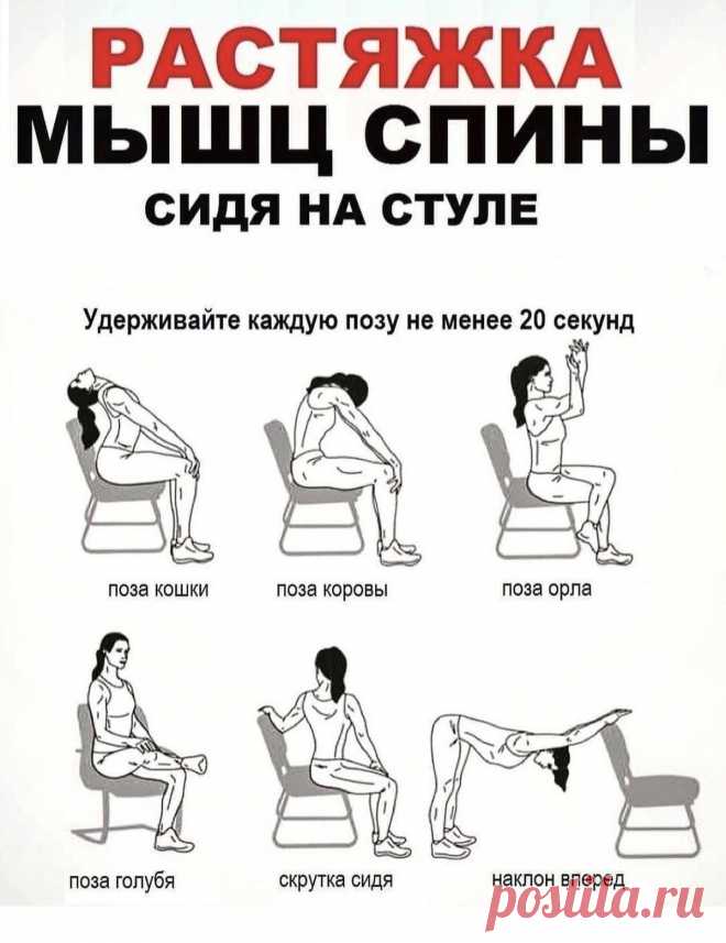 Растяжка мышц спины сидя на стуле