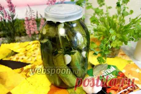 Огурцы маринованные с мускатным орехом и кинзой рецепт с фото, как приготовить на Webspoon.ru