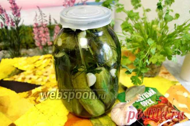 Огурцы маринованные с мускатным орехом и кинзой рецепт с фото, как приготовить на Webspoon.ru