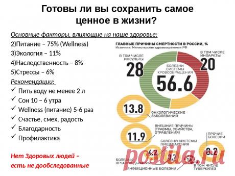 Команда bmd21 Life Style