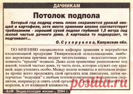В подвале плохо сохраняется урожай овощей
