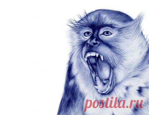 Невероятные рисунки, сделанные обычной шариковой ручкой