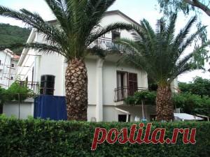 Apartmani kod baka Zlate | Baka Zlata – Sobe i apartmani – Petrovac na moru – Crna Gora