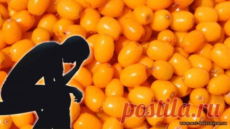 Облепиха - богата многими важными витаминами (витамин С, витамины В, витамин Р, витамин Е, витамин А), но и минералами (цинк, железо, магний, молибден, кальций и даже золото!). 
Говоря об этом растении, трудно не указать на её лечебные свойства. В этом вопросе необходимо учитывать, что средства на базе этого растения усиливают или угнетают действие некоторых лекарств.