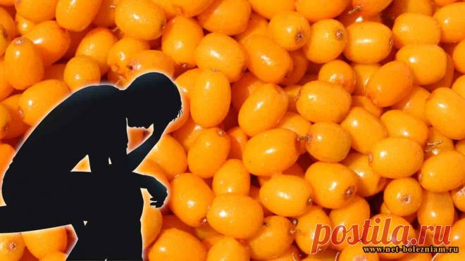 Облепиха - богата многими важными витаминами (витамин С, витамины В, витамин Р, витамин Е, витамин А), но и минералами (цинк, железо, магний, молибден, кальций и даже золото!). 
Говоря об этом растении, трудно не указать на её лечебные свойства. В этом вопросе необходимо учитывать, что средства на базе этого растения усиливают или угнетают действие некоторых лекарств.