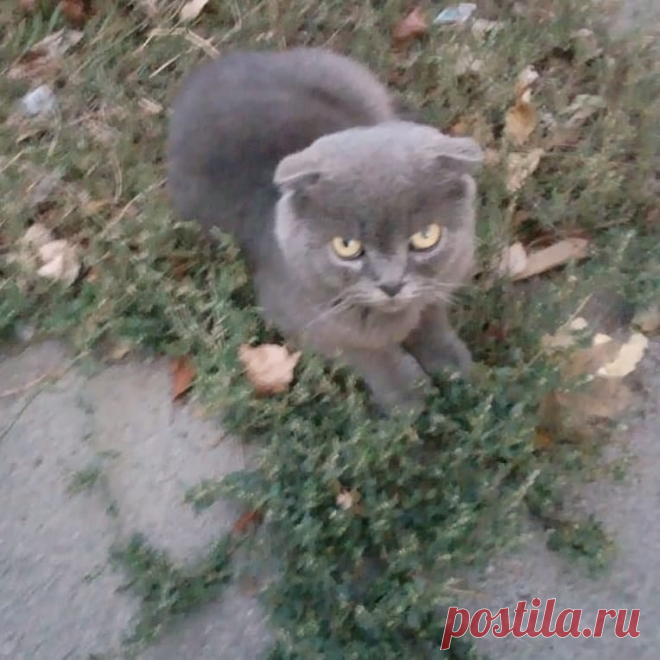 (101) Марина Кобец
