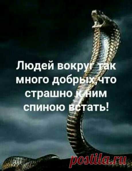 Pin page