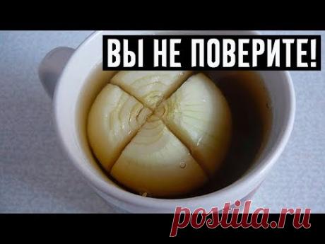 Бросьте луковицу в чай — и кишечник станет работать как часы!