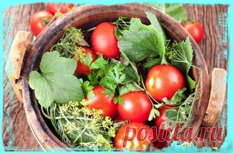 Солёные, квашенные помидоры, как из бочки, но без бочки, ускоренный домашний рецепт.‎ :: NoNaMe