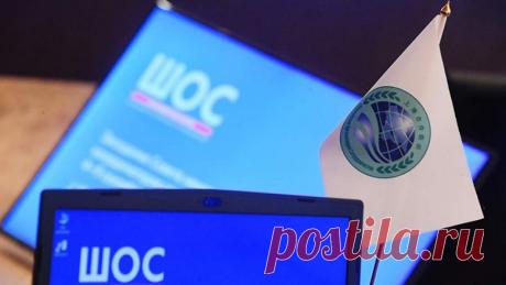 Российский дипломат объяснил интерес к ШОС всё большего числа стран - 16 сентября 2022 | Новости Mail.ru