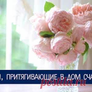 Вещи, притягивающие в дом счастье - МирТесен