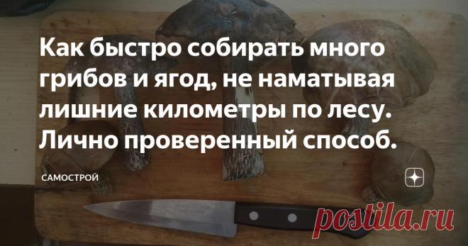 Как быстро собирать много грибов и ягод, не наматывая лишние километры по лесу. Лично проверенный способ. Сейчас время активного сбора дикороса. У нас на Алтае народ сейчас клубнику/землянику собирает. Скоро пойдут грибы. Сбор грибов – один из моих любимых видов отдыха. Ходишь по лесу, воздухом дышишь, плюс еще и на зиму себе запасы делаешь! Но, к великому сожалению, делать это получается редко. Работа, стройка да и другие жизненные дела оставляют крайне мало времени на та...