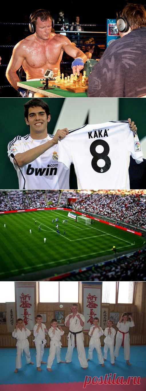 Плавание в ластах, Блицспринт, Крокет, Хоккей с мячом. (1/1) - Спортивный форум. - Спортивный сайт