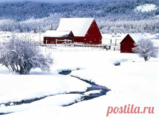 (47) Tamriko Romal - Tamriko Romal поделилась ссылкой.