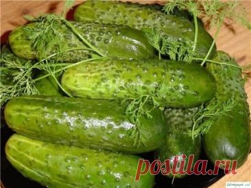 ВАРИАНТЫ ЗАГОТОВОК ОГУРЦОВ