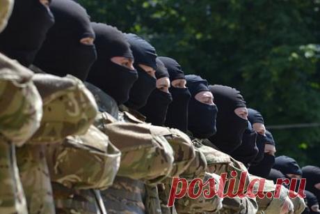 Бойцов «Азова» приняли в Капитолии США. Бойцов запрещенной в России террористической организации «Азов» приняли в Капитолии США. На встрече с ними американские политики обсудили поставляемое Киеву оружие. Об этом сообщила украинская активистка Дарья Каленюк. Она также поблагодарила за встречу конгрессмена-демократа Адама Шиффа.