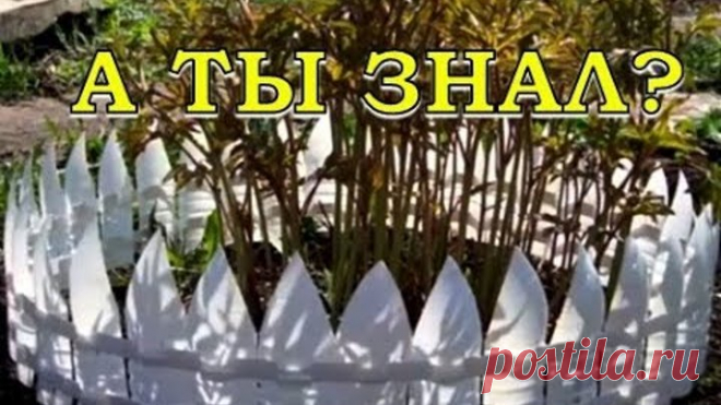 ЗАБОРЧИК  из пластиковых бутылок СВОИМИ РУКАМИ