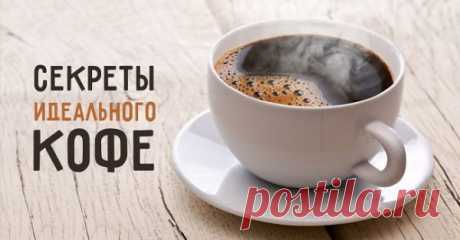 Как приготовить идеальный кофе: 7 секретов от бариста