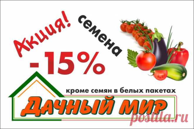 Декоративные лианы - Питомник растений 