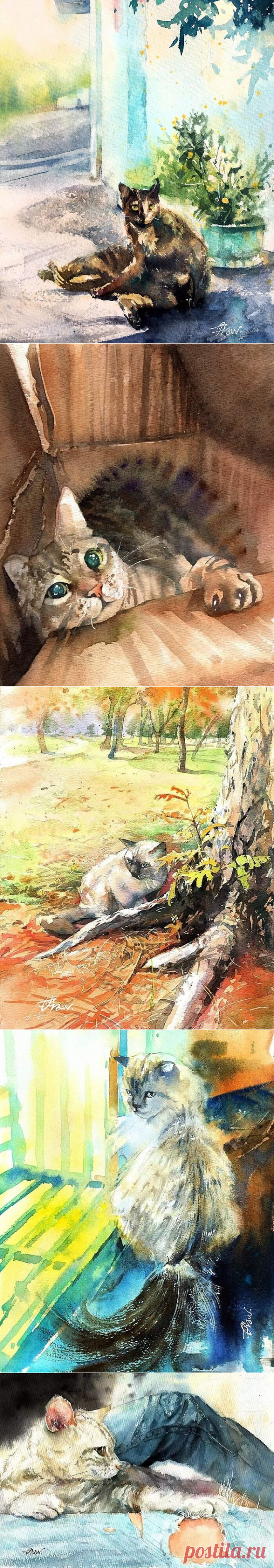Кошачья жизнь в акварельных картинах Draw An