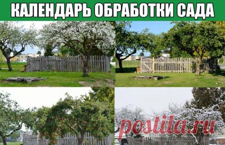 Календарь обработки сада

Каждому садоводу очень важно, чтобы плодово-ягодные деревья и кустарники в саду оставались здоровыми и давали хороший урожай. Для этого нужно своевременно проводить мероприятия по профилактике заражения болезнями и поражения вредителями.

 Март-апрель

 Все культуры. 
Для борьбы с зимую­щими вредителями – обработка с нача­ла сокодвижения до распускания почек препаратом «Профилактин». Для профилактики грибных инфекций – опрыскивание по спящим почка...