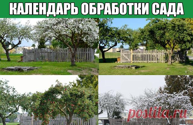 Календарь обработки сада

Каждому садоводу очень важно, чтобы плодово-ягодные деревья и кустарники в саду оставались здоровыми и давали хороший урожай. Для этого нужно своевременно проводить мероприятия по профилактике заражения болезнями и поражения вредителями.

 Март-апрель

 Все культуры. 
Для борьбы с зимую­щими вредителями – обработка с нача­ла сокодвижения до распускания почек препаратом «Профилактин». Для профилактики грибных инфекций – опрыскивание по спящим почка...