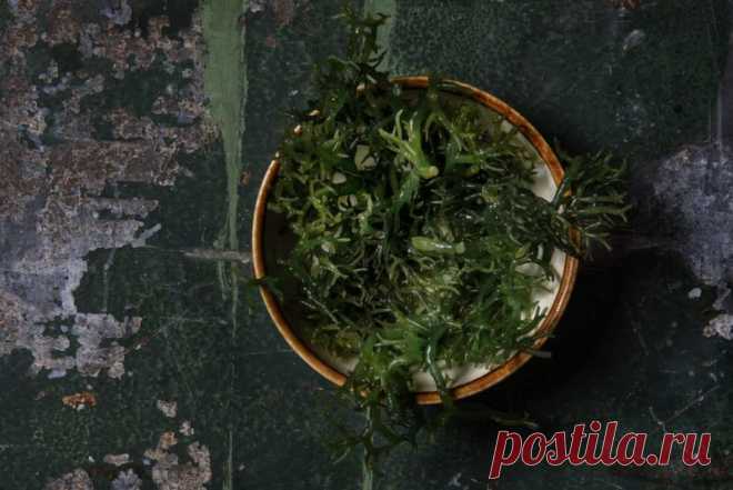 Продукты, богатые йодом, которые стоит включить в свой рацион Дефицит йода является одной из основных причин заболеваний, связанных с нарушением работы ЩИТОВИДНОЙ ЖЕЛЕЗЫ.