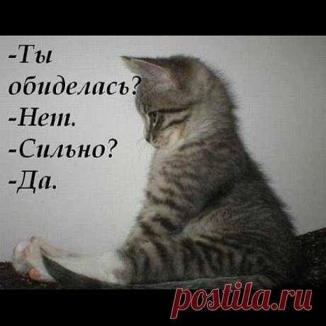 УРА, ПЯТНИЦА! Котоматрица!